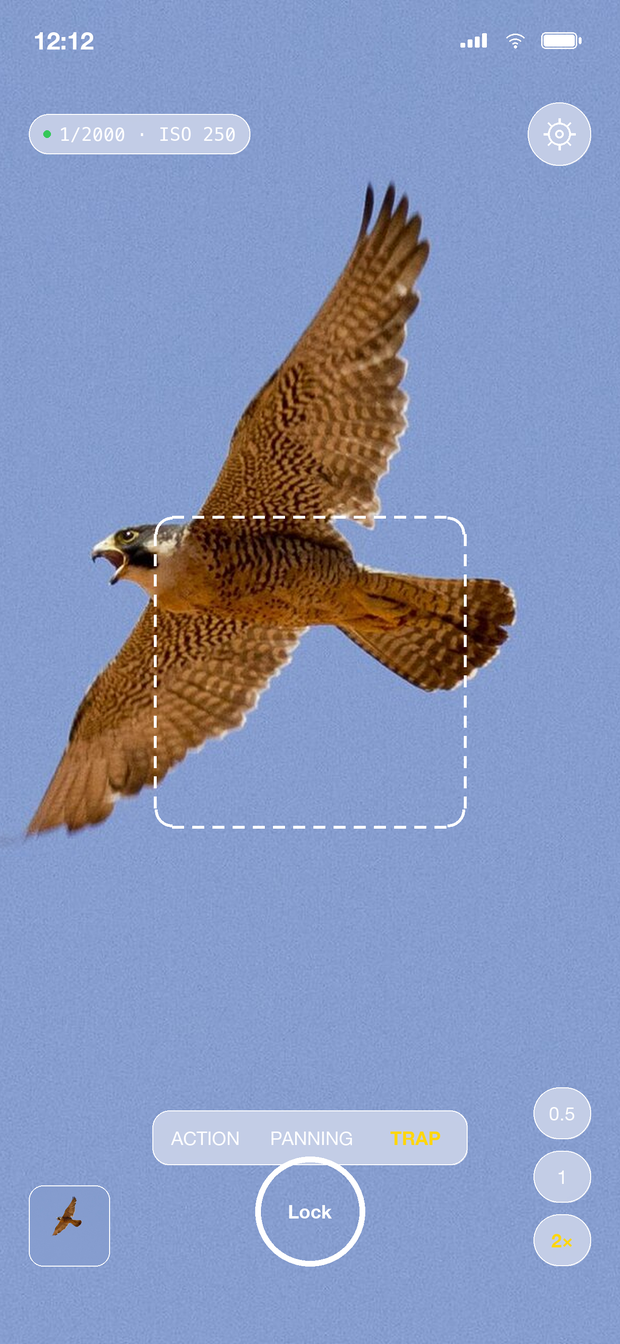 ApexShot Trap Focus armed on a falcon in flight