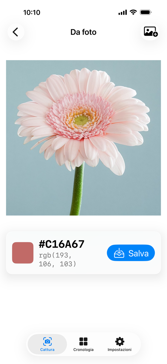 Campionamento di un colore dalla foto di un fiore