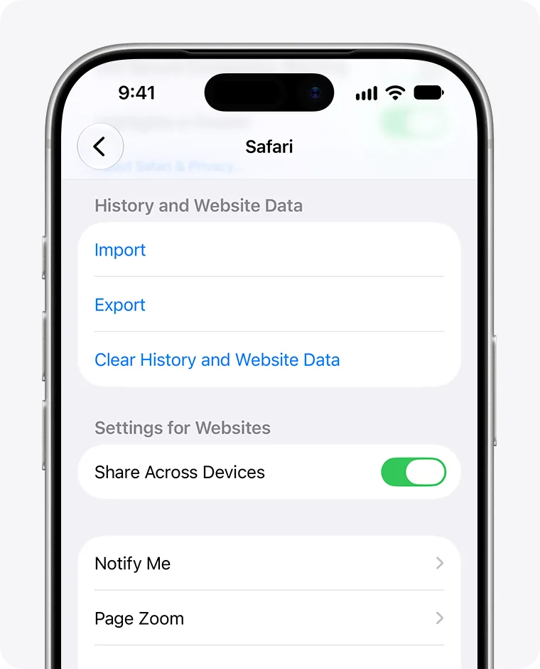 Safari settings on iPhone: in the history and website data section, the blue Clear History and Website Data item.