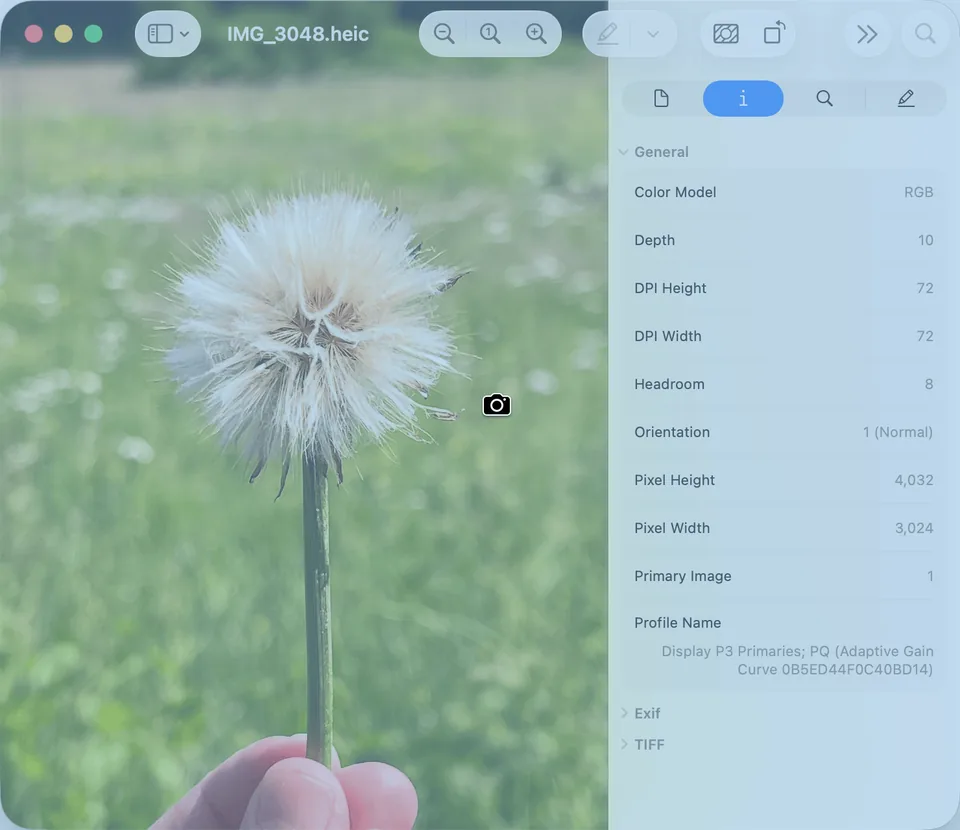 Screenshot of a window: the Preview window is highlighted in blue and the pointer has turned into a small camera.
