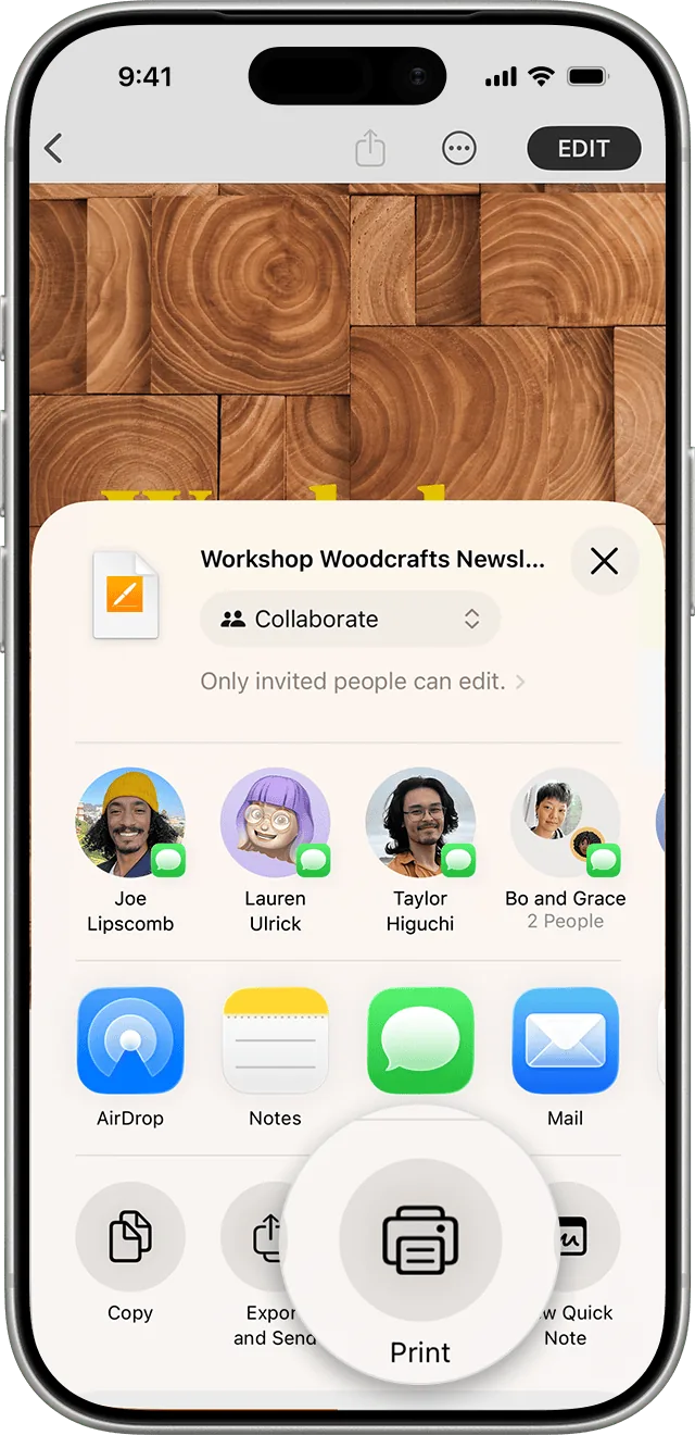 Share menu on iPhone: below the contacts and apps, among the actions, the Print button with the printer icon, magnified.